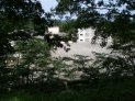 下の方の小学校が見える